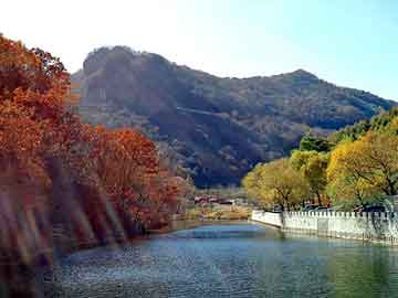 澳门二四六天天彩图库，节油器原理